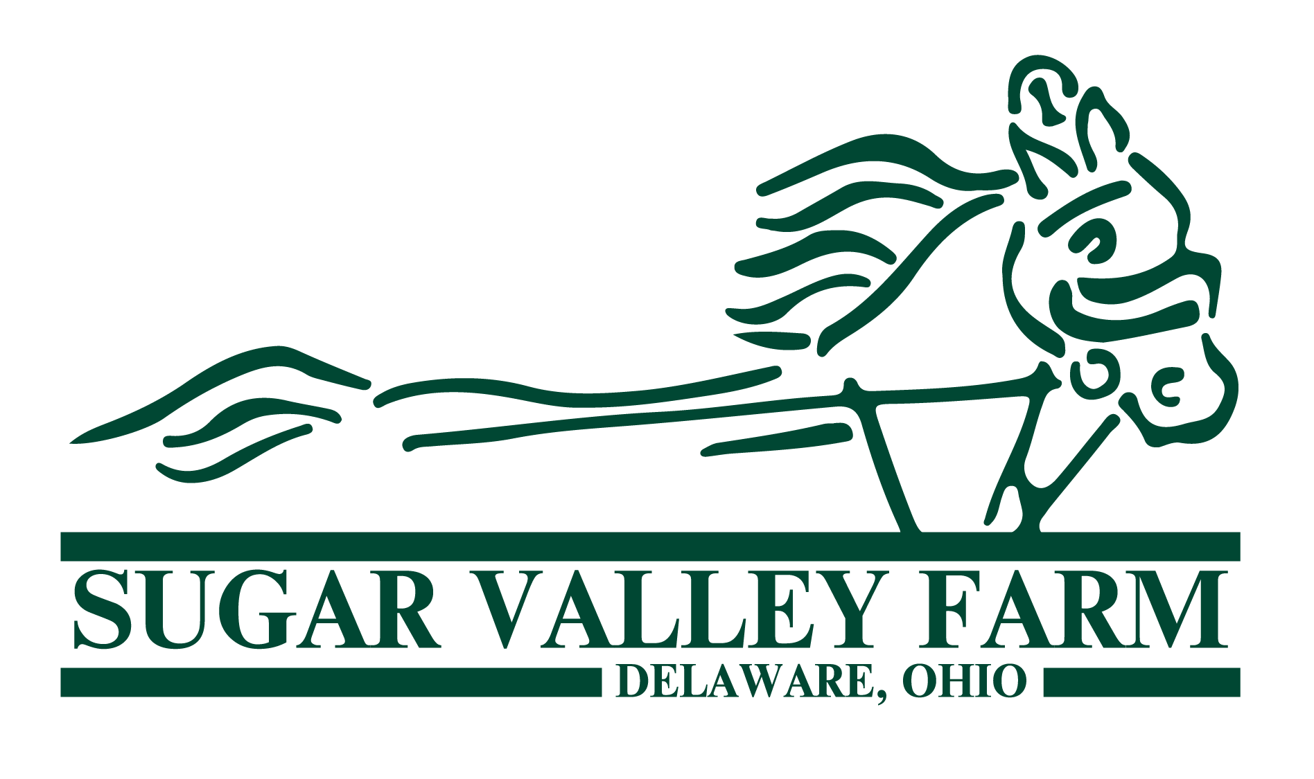 Horsing Around My 96.7My 96.7